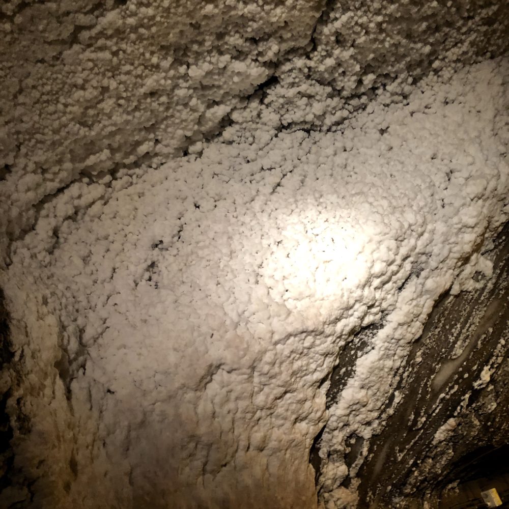Miniere Wieliczka: Parete di sale presente lungo il percorso